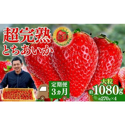 ふるさと納税 いちご 栃木県 茂木町 いちご 定期便3回 第1回いちご選手権 金賞受賞 とちあいか 大粒 約270g × 4パック 合計 約1080g | いちご イチゴ 苺 とち…