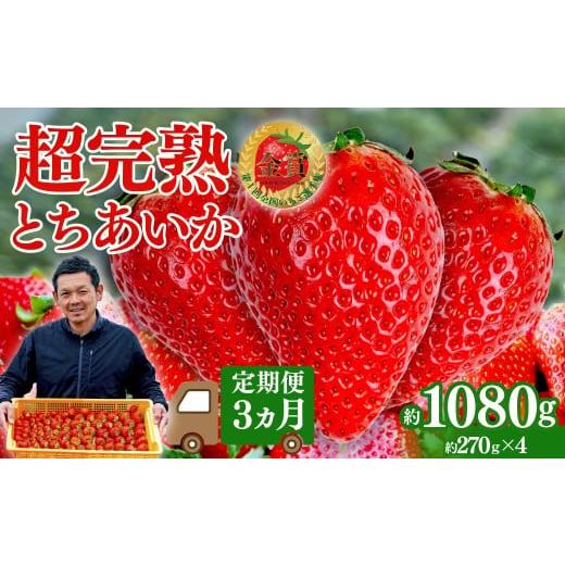ふるさと納税 いちご 栃木県 茂木町 いちご 定期便3回 第1回いちご選手権 金賞受賞 とちあいか レギュラーサイズ 約270g × 4パック 合計 約1080g | いちご イ…