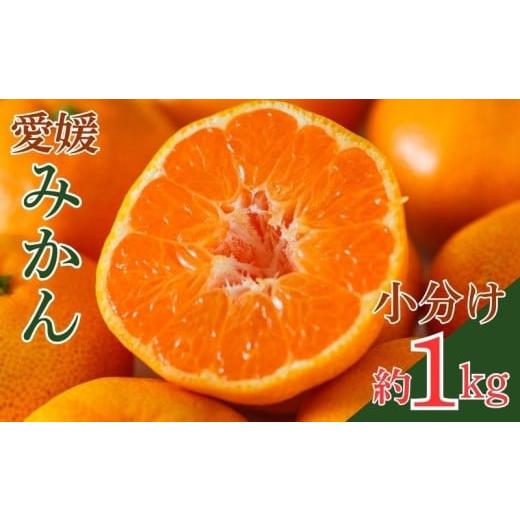 ふるさと納税 果物類 みかん 愛媛県 愛南町 愛媛みかん 小分け袋 2袋 約1kg 果物 柑橘 みかん 蜜柑 フルーツ ゼリー ジュース オレンジ 甘い 糖度 美味しい ビ…