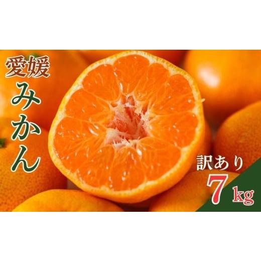 ふるさと納税 果物類 柿 愛媛県 愛南町 訳あり 愛媛みかん 7kg 果物 柑橘 みかん 蜜柑 フルーツ ゼリー ジュース オレンジ 甘い 糖度 美味しい ビタミン 美容 …