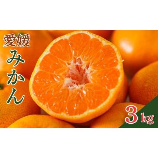 ふるさと納税 果物類 みかん 愛媛県 愛南町 愛媛みかん 3kg (傷み補償200g付き) 果物 柑橘 みかん 蜜柑 フルーツ ゼリー ジュース オレンジ 甘い 糖度 美味し…