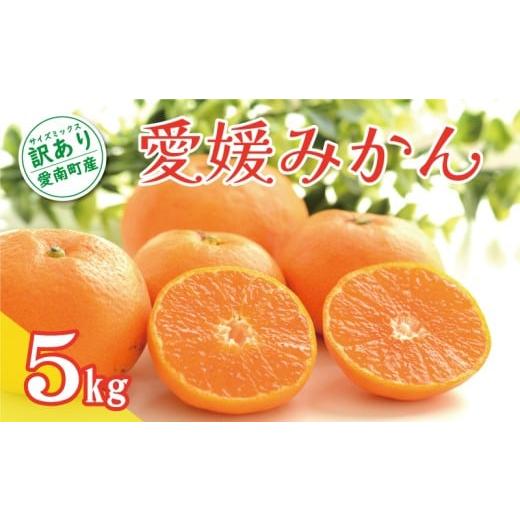ふるさと納税 果物類 みかん 愛媛県 愛南町 数量限定 訳あり 愛媛みかん 5kg 7000円 温州みかん こたつ みかん わけあり 温州 みかん mikan 蜜柑 愛媛 ミカン …
