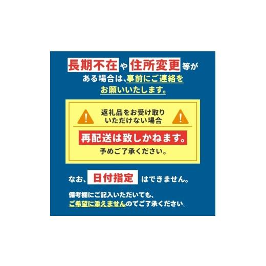 ふるさと納税 梨 栃木県 真岡市  2026年先行予約 幸水 3kg 真岡市産 梨 なし| 果物 くだもの フルーツ 梨 なし プレゼント ご褒美 甘い 贈答 秋 大きい 送料無…_8
