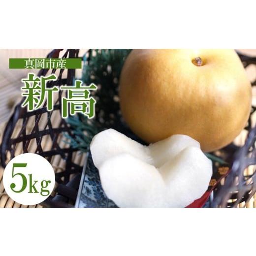 ふるさと納税 梨 栃木県 真岡市 2026年先行予約 新高 5kg 真岡市産 梨 なし| 果物 くだもの フルーツ 梨 なし プレゼント ご褒美 甘い 贈答 秋 大きい 送料無…