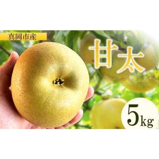 ふるさと納税 梨 栃木県 真岡市 2026年先行予約 甘太 5kg 真岡市産 梨 なし| 果物 くだもの フルーツ 梨 なし プレゼント ご褒美 甘い 贈答 秋 大きい 送料無…