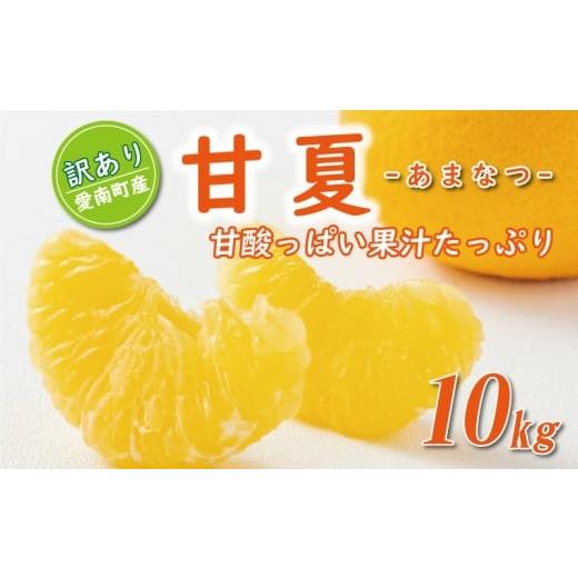 ふるさと納税 みかん・柑橘類 愛媛県 愛南町 先行予約 訳あり 甘夏 10kg 7000円 樹齢25年 以上 みかん mikan 蜜柑 わけあり あまなつ 夏みかん グレープフルー…