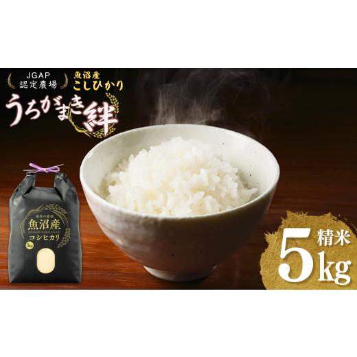ふるさと納税 米 コシヒカリ 新潟県 小千谷市 JGAP認証農場 令和7年産 魚沼産コシヒカリ 精米5kg(5kg×1袋) うちがまき絆 | 新潟県産 コシヒカリ お米 米 お…