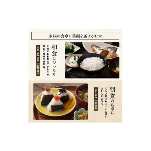 ふるさと納税 米 ヒノヒカリ 大分県 中津市 R7年産大分県産米 精米