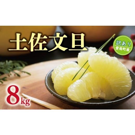 ふるさと納税 みかん・柑橘類 愛媛県 愛南町 数量限定 先行予約 訳あり 土佐 文旦 8kg ( サイズミックス ) 10000円 わけあり ぶんたん みかん mikan 蜜柑 ミ…