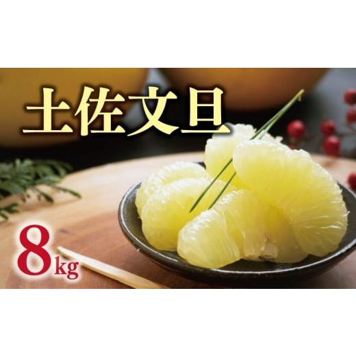 ふるさと納税 みかん・柑橘類 愛媛県 愛南町 数量限定 先行予約 土佐 文旦 8kg ( 2Lサイズ ) 14000円 ぶんたん みかん mikan 蜜柑 ミカン 土佐文旦 家庭用 …