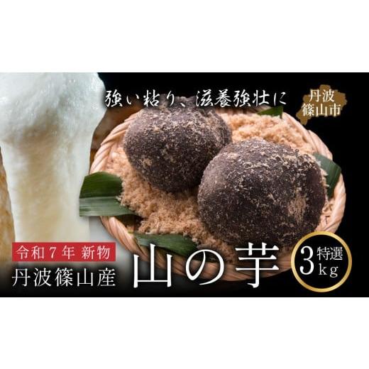 ふるさと納税 野菜類 兵庫県 丹波篠山市 お歳暮・お正月に 丹波篠山産 山の芋 令和7年 新物 選べる 3kg 10~12個入り 数量限定 おせち 鍋 滋養強壮 やまのいも…