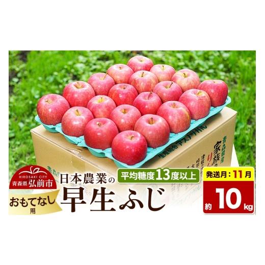 ふるさと納税 りんご 青森県 弘前市 26年11月発送 りんご 早生ふじ おもてなし用 約10kg 平均糖度13度以上 青森 果物 フルーツ 林檎 リンゴ くだもの 先行受…