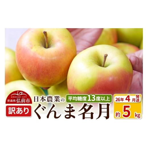 ふるさと納税 りんご 青森県 弘前市 26年4月発送 りんご 平均糖度13度以上 ぐんま名月 約5kg 訳あり CA貯蔵 クール便 青森 果物 フルーツ 林檎 リンゴ くだも…