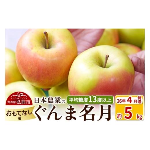 ふるさと納税 りんご 青森県 弘前市 26年4月発送 りんご 平均糖度13度以上 ぐんま名月 約5kg おもてなし用 CA貯蔵 クール便 青森 果物 フルーツ 林檎 リンゴ …