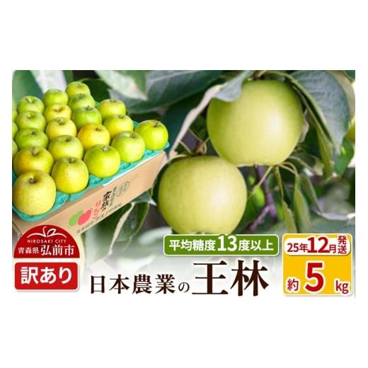 ふるさと納税 りんご 青森県 弘前市 25年12月発送 りんご 平均糖度13度以上 王林 約5kg 訳あり 青森 果物 フルーツ 林檎 リンゴ くだもの 不揃い 規格外