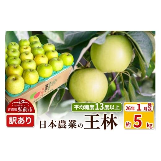 ふるさと納税 りんご 青森県 弘前市 26年1月発送 りんご 平均糖度13度以上 王林 約5kg 訳あり 青森 果物 フルーツ 林檎 リンゴ くだもの 不揃い 規格外