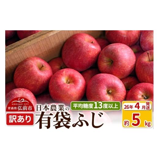 ふるさと納税 りんご 青森県 弘前市 26年4月発送 りんご 平均糖度13度以上 有袋ふじ 約5kg 訳あり CA貯蔵 クール便 青森 果物 フルーツ 林檎 リンゴ くだもの…