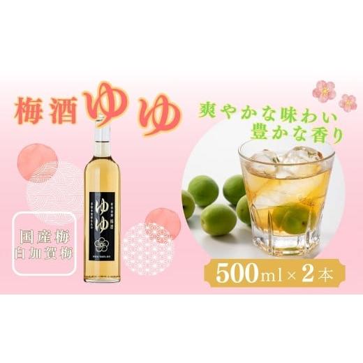 ふるさと納税 焼酎 米 新潟県 小千谷市 梅酒ゆゆ 500ml×2本 国産梅 白加賀梅 米焼酎 新潟銘醸 | 焼酎 梅酒 お取り寄せ 取り寄せ 贈り物 贈答 プレゼント ギフ…