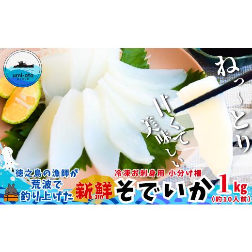 ふるさと納税 イカ 鹿児島県 徳之島町 2510 徳之島の漁師が荒波で釣り上げたそでいか 冷凍お刺身用小分け柵 1kg(約10人前) ( ソデイカ いか イカ 大型のい…