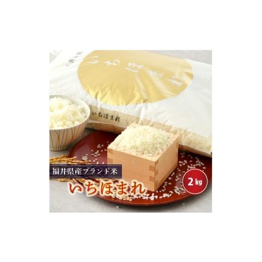 ふるさと納税 米 コシヒカリ 福井県 坂井市 令和7年産・新米 さんさん池見二代目がお届けする 福井県産いちほまれ 2kg (7分付き) A-0262_02 7分付き