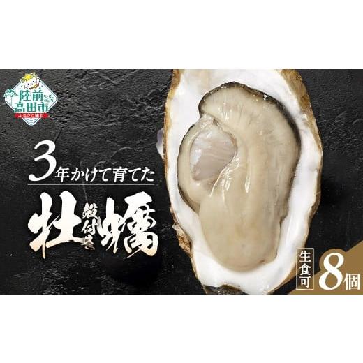 ふるさと納税 牡蠣 生牡蠣 岩手県 陸前高田市 12月後半発送 牡蠣 生食用 期間限定 殻付き 牡蠣8個「3年育成」 牡蠣 かき カキ 殻付き 生食 大粒 国産 真牡蠣 …