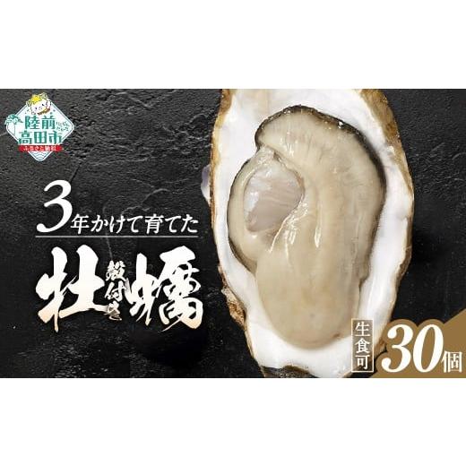 ふるさと納税 牡蠣 生牡蠣 岩手県 陸前高田市 12月後半発送 牡蠣 生食用 期間限定 殻付き 牡蠣30個「3年育成」 牡蠣 かき カキ 殻付き 生食 大粒 国産 真牡蠣…