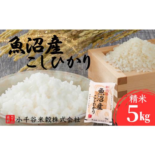 ふるさと納税 米 コシヒカリ 新潟県 小千谷市 令和7年産 魚沼産コシヒカリ計5kg(5kg×1袋) 小千谷米穀 | 新潟県産 コシヒカリ お米 米 おこめ こめ コメ こし…