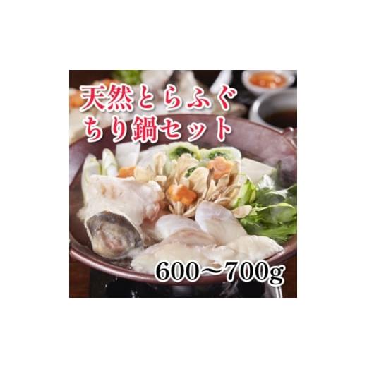 ふるさと納税 海鮮鍋 千葉県 いすみ市 天然とらふぐちり鍋セット(600〜700g)千葉県大原産 1679652