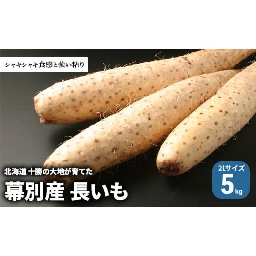 ふるさと納税 人参・大根・他根菜 北海道 幕別町 北海道 十勝の大地が育てたシャキシャキ食感と強い粘り 幕別産 長いも 2Lサイズ 5kg[木川商店] 長いも 長芋…