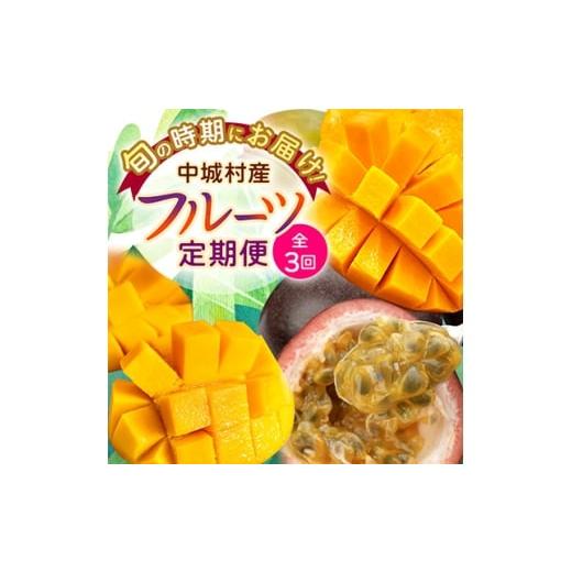 ふるさと納税 マンゴー 沖縄県 中城村 発送月固定定期便 2026年発送 JAおきなわが厳選する南国フルーツ定期便全3回_沖縄 マンゴー アップルマンゴー トロピカ…