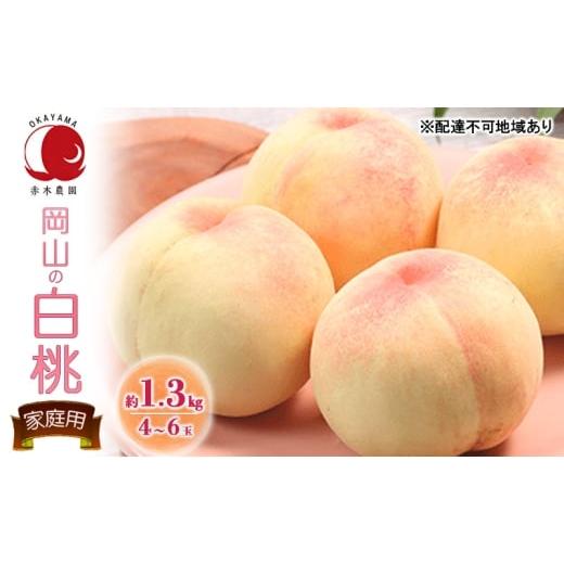 ふるさと納税 もも 岡山県 里庄町 桃 2026年 先行予約 ご家庭用 岡山の白桃 約1.3kg 4〜6玉 白桃 もも モモ フルーツ 果物 岡山県産 国産 赤木農園