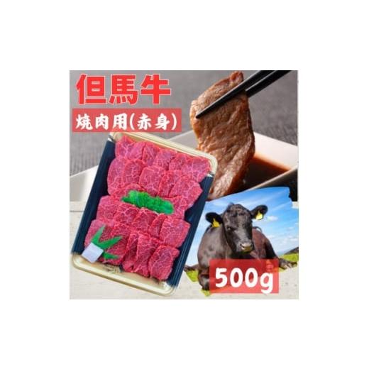 ふるさと納税 牛肉 焼肉・バーベキュー 兵庫県 養父市 但馬牛 焼肉用(モモ・肩部位)500g 1615682