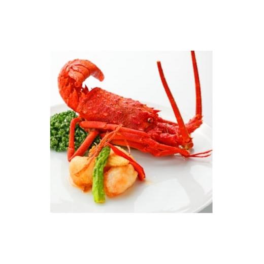 ふるさと納税 お食事券 神奈川県 - 横浜中華街 富泰楼 富貴コース(9品) ペア食事券 1683048