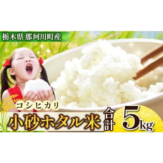 ふるさと納税 米 コシヒカリ 栃木県 那珂川町 小砂〔こいさご〕ホタル米 5kg(コシヒカリ)|コシヒカリ 米 白米 おいしい お米 こめ おこめ 白米 精米 国産 …