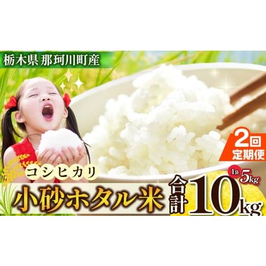 ふるさと納税 米 コシヒカリ 栃木県 那珂川町 定期2回 小砂〔こいさご〕ホタル米 5kg(コシヒカリ)|コシヒカリ 米 白米 おいしい お米 こめ おこめ 白米 精…
