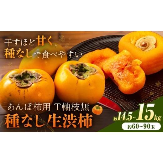 ふるさと納税 果物類 柿 和歌山県 日高町 2026年先行予約 柿 かき あんぽ柿用 T軸枝無 種なし 生渋柿 14.5~15kg ふるさと農園[10月中旬-11月上旬頃より発送…