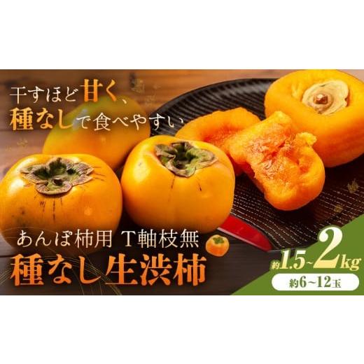 ふるさと納税 果物類 柿 和歌山県 日高町 2026年先行予約 柿 かき あんぽ柿用 T軸枝無 種なし 生渋柿 1.5~2kg ふるさと農園[10月中旬-11月上旬頃より発送予…