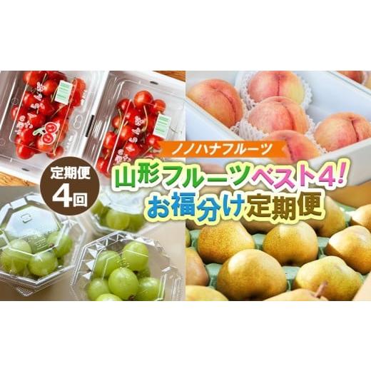 ふるさと納税 果物類 さくらんぼ 山形県 山形市 定期便4回 山形フルーツベスト4 お福分け定期便 令和8年産先行予約 FS25-104 くだもの 果物 フルーツ 山形 山…