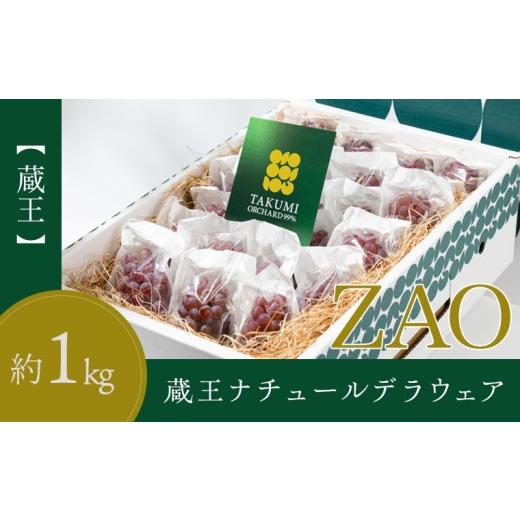 ふるさと納税 果物類 ぶどう 山形県 山形市 蔵王 ZAO 蔵王ナチュールデラウェア 山形のデラウエア TAKUMI ORCHARD 99% 贈答 2L以上 糖度保証 約1kg 山形 山形…