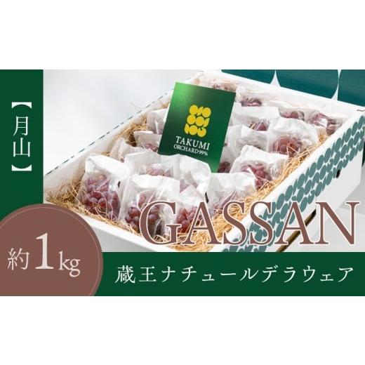 ふるさと納税 果物類 ぶどう 山形県 山形市 月山 GASSAN 蔵王ナチュールデラウェア 山形のデラウエア TAKUMI ORCHARD 99% 贈答 L以上 約1kg 山形 山形県 山形…