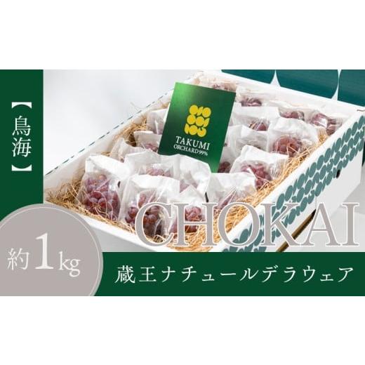 ふるさと納税 果物類 ぶどう 山形県 山形市 鳥海 CHOKAI 蔵王ナチュールデラウェア 山形のデラウエア TAKUMI ORCHARD 99% ご家庭 M以上房サイズ混合 約1kg 山…