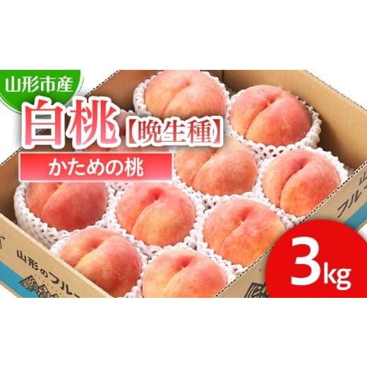 ふるさと納税 もも 山形県 山形市 山形市産 白桃 晩成種 「伊達白桃・白根白桃・伊達白桃」かための桃3kg (6〜11玉) 令和8年産先行予約 FS25-128 くだもの 果…