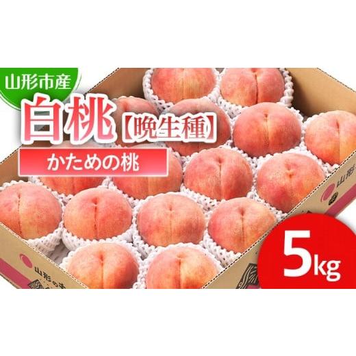 ふるさと納税 もも 山形県 山形市 山形市産 白桃 晩成種 「伊達白桃