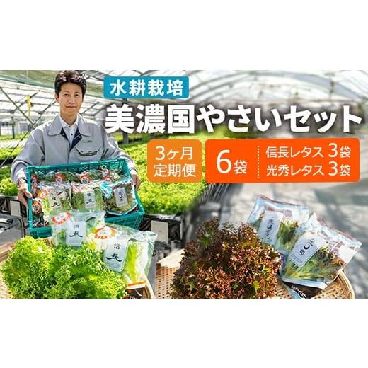 ふるさと納税 セット・詰合せ 岐阜県 瑞穂市 3ヶ月定期便 美濃国やさいセット 計6袋 | 野菜 野菜セット レタス フリルレタス 水耕栽培 安全 安心 衛生的 新…