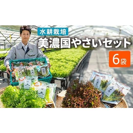 ふるさと納税 セット・詰合せ 岐阜県 瑞穂市 美濃国やさいセット 計6袋 | 野菜 野菜セット レタス フリルレタス 水耕栽培 安全 安心 衛生的 新鮮 シャキシャ…
