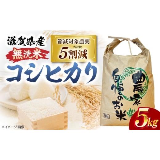 ふるさと納税 米 コシヒカリ 滋賀県 長浜市 令和7年度産新米 無洗米 コシヒカリ 5kg 滋賀県長浜市/狩野農園
