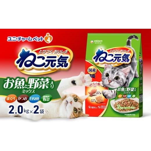 ふるさと納税 雑貨・日用品 兵庫県 伊丹市 ねこ元気 お魚と野菜入りミックス まぐろ・かつお・白身魚・緑黄色野菜入り 2.0kg×2袋 ペットフード キャットフー…