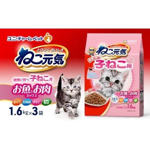 ふるさと納税 雑貨・日用品 兵庫県 伊丹市 ねこ元気 健康に育つ子ねこ用 お魚とお肉ミックス 1.6kg×3袋 ペットフード キャットフード 猫のごはん 猫用フード …