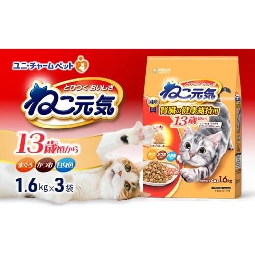 ふるさと納税 雑貨・日用品 兵庫県 伊丹市 ねこ元気 13歳頃から まぐろ・かつお・白身魚入り 1.6kg×3袋 ペットフード キャットフード 猫のごはん 猫用フード …