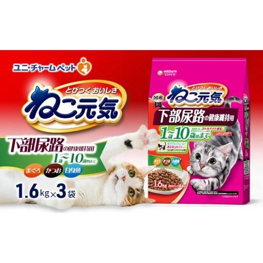 ふるさと納税 雑貨・日用品 兵庫県 伊丹市 ねこ元気 下部尿路の健康維持用 1歳〜10歳頃まで まぐろ・かつお・白身魚入り 1.6kg×3袋 ペットフード キャットフ…